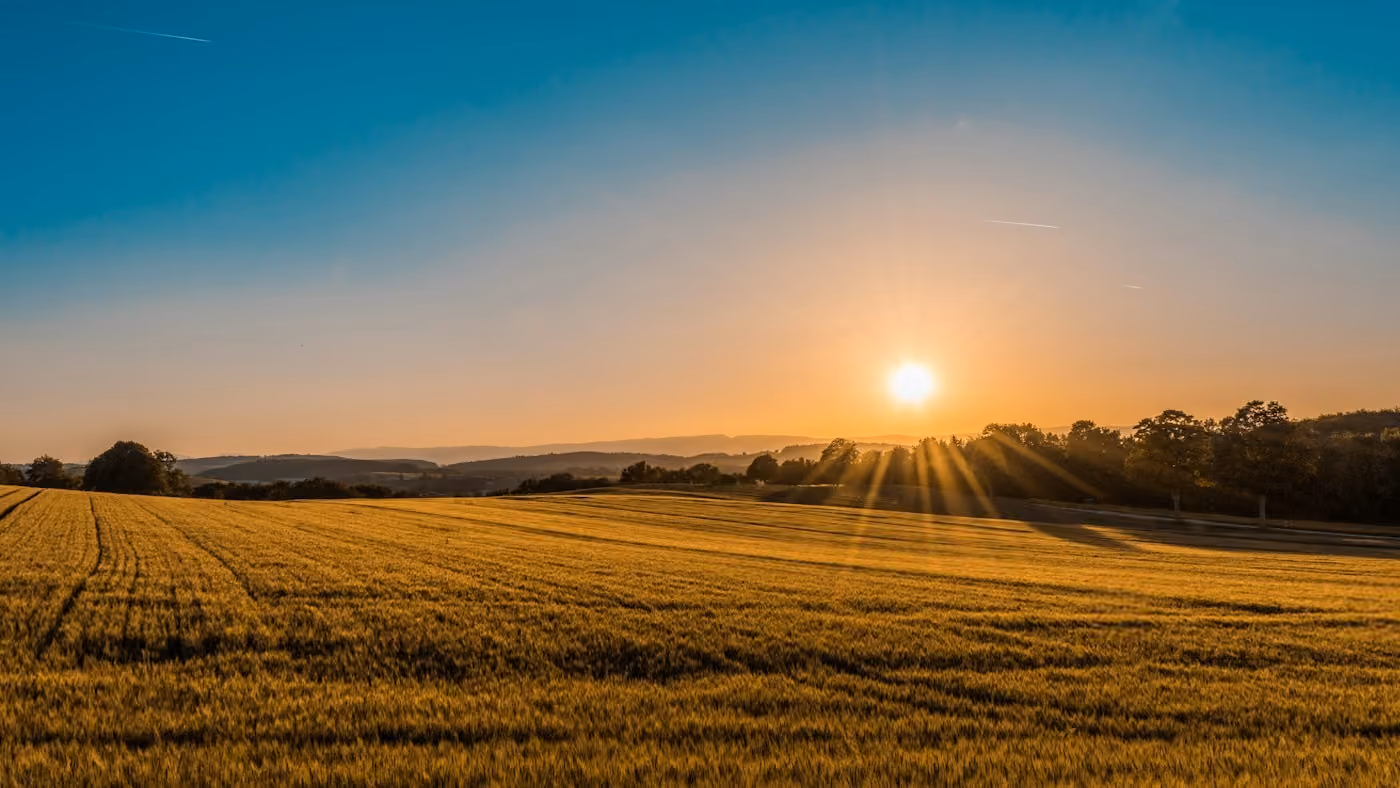 Illustrative sample photo: Open land landscape. Source: Unsplash (photo-1500382017468-9049fed747ef).